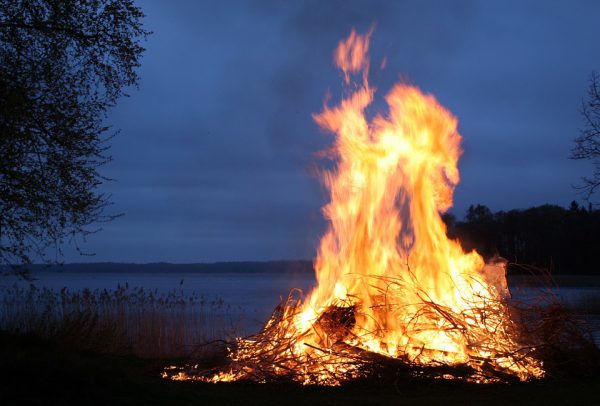 Число случаев возгорания сухой травы в Нижегородской области резко снизилось