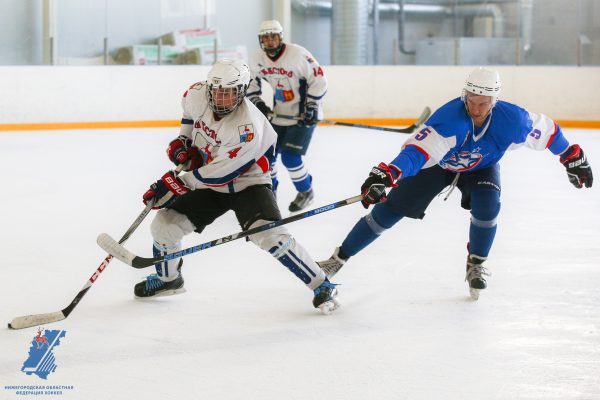 Вице-президент Нижегородской областной федерации хоккея Алексей Швецов рассказал о проблемах и перспективах развития спорт в регионе