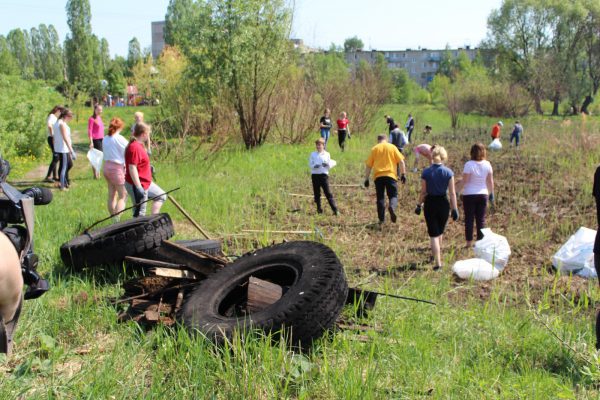 Больше 30 школьников приняли участие в экологической акции «Чистый берег»