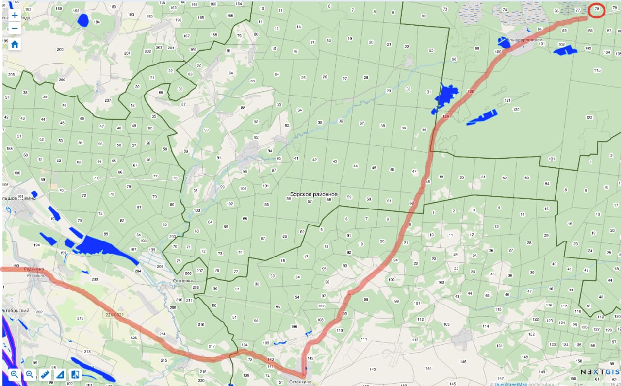 Карта лесных кварталов нижегородской области