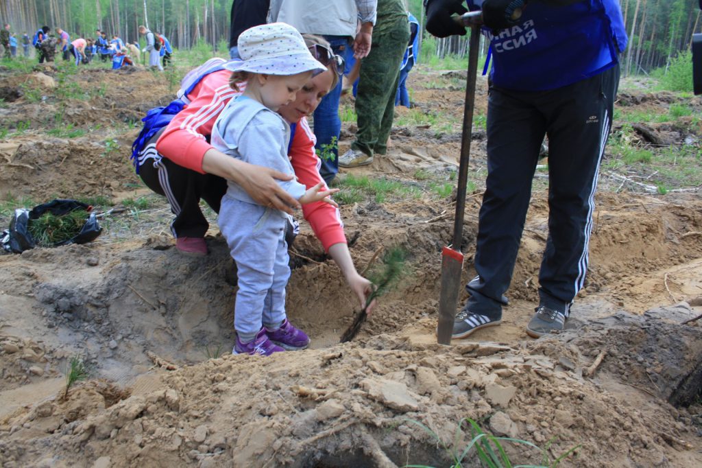 Рекордное количество нижегородцев приняли участие в акции «День посадки леса»