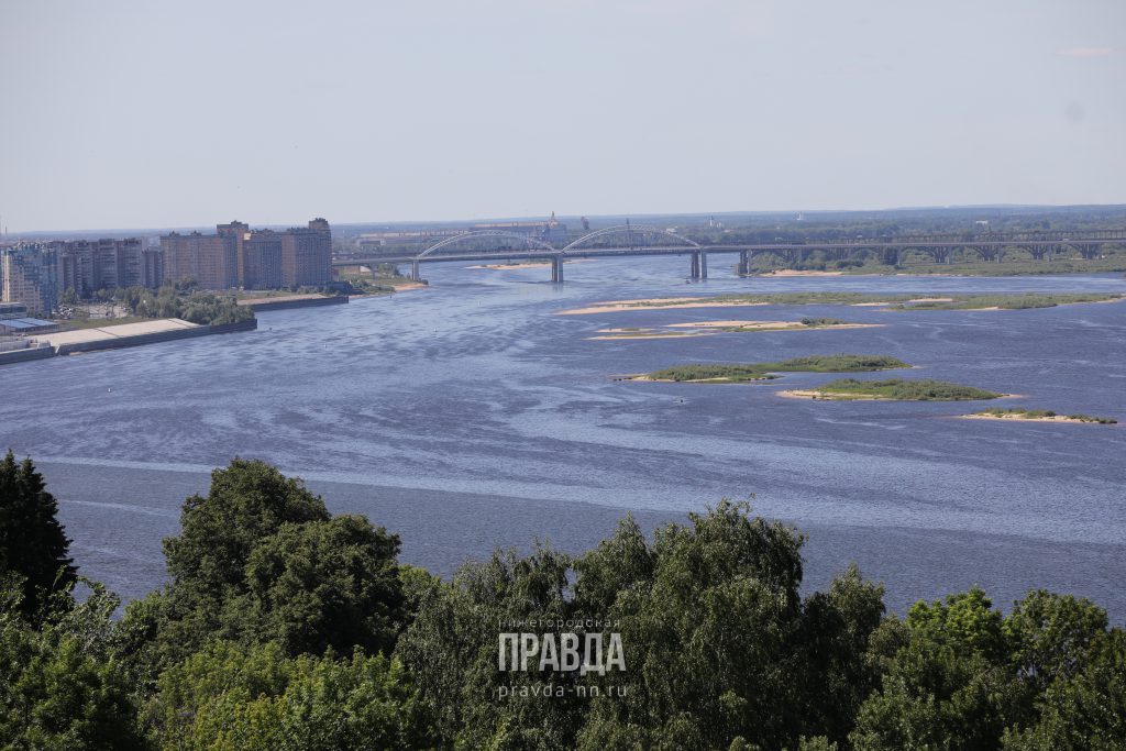 Нижегородцы смогут показать знания экологичного образа жизни на конкурсе «Живая Волга. Разделяй вместе с нами»