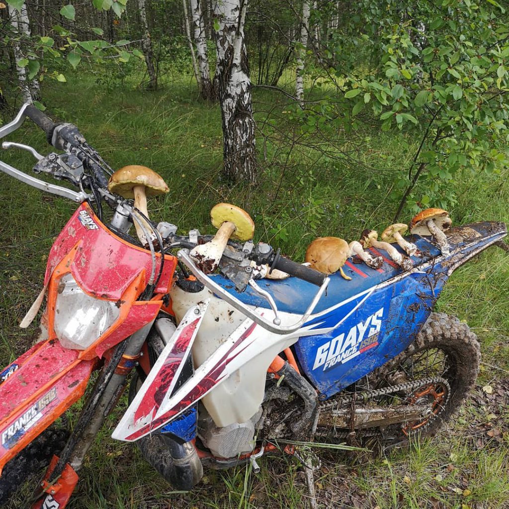 Братья Кристовские поехали в нижегородские леса на мотоциклах