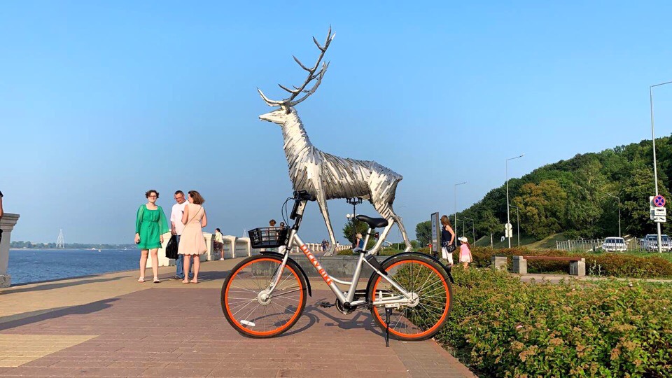 Сервис проката велосипедов в августе появится в Нижнем Новгороде