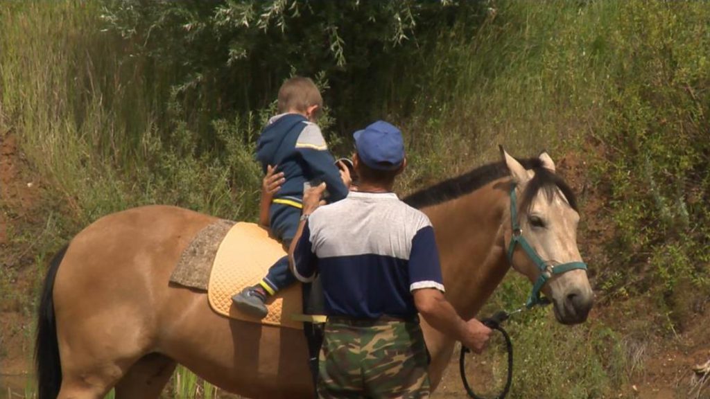 40 кулебакских семей с особенными детьми занимаются на курсах лечебной верховой езды