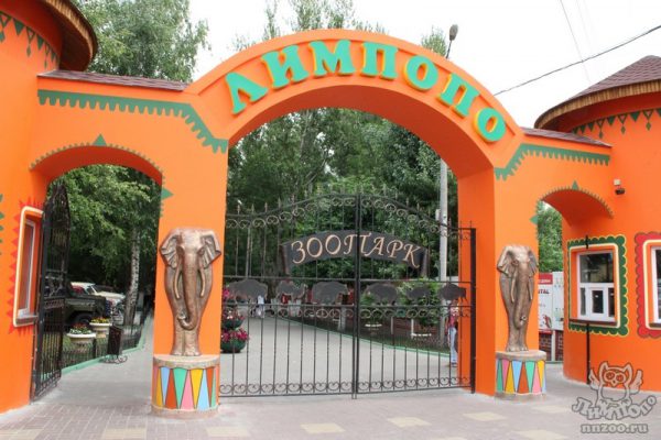 Питомцам из зоопарка «Лимпопо» помогут региональные власти