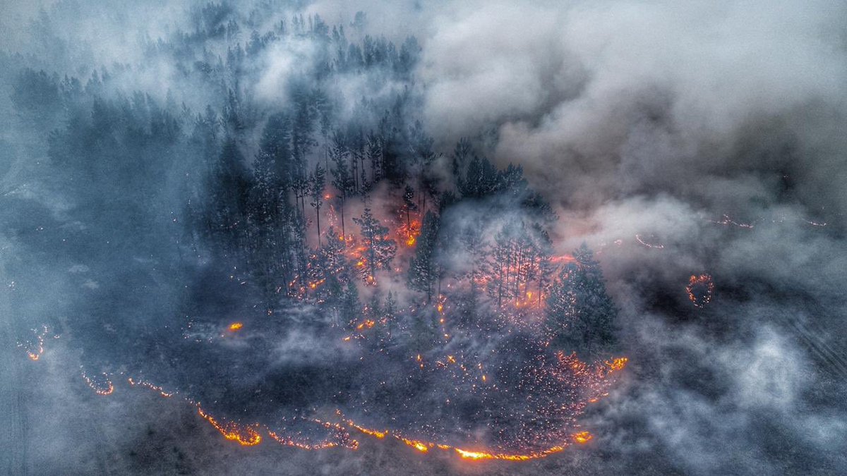 Фото лесного пожара сверху