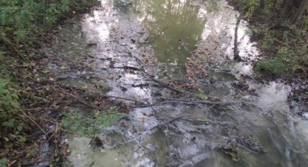 Сточные воды загрязнили памятник природы в Дзержинске