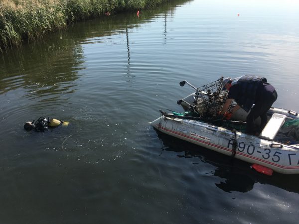 Вывезли 3 КамАЗа: водолазы очищают Мещерское озеро от мусора