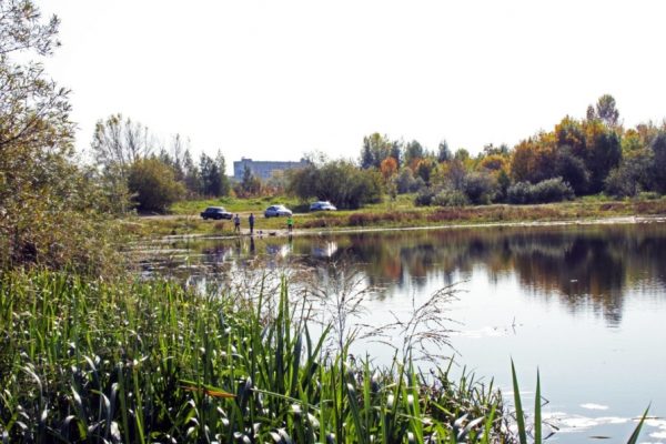 Волжской пойме в Нижнем Новгороде вернули статус зелёной зоны