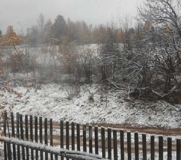 Снег выпал в Нижегородской области