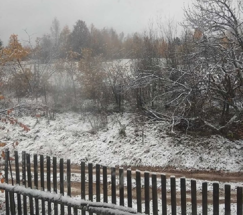Снег выпал в Нижегородской области