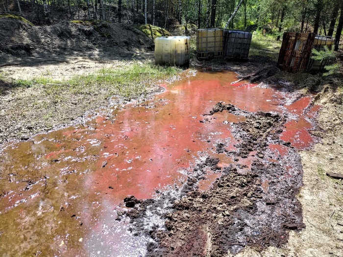 Администрация Дзержинска заплатит 40 тысяч рублей за загрязнение почвы химическими отходами