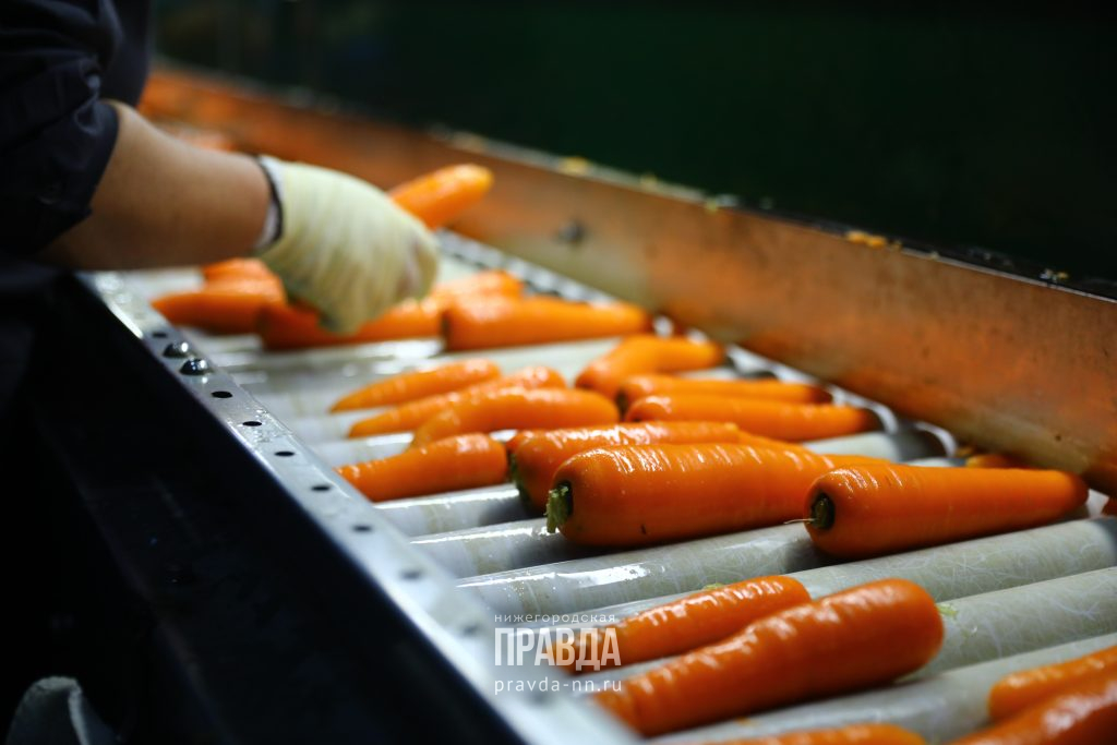 Почему нужно включить в свой рацион морковь