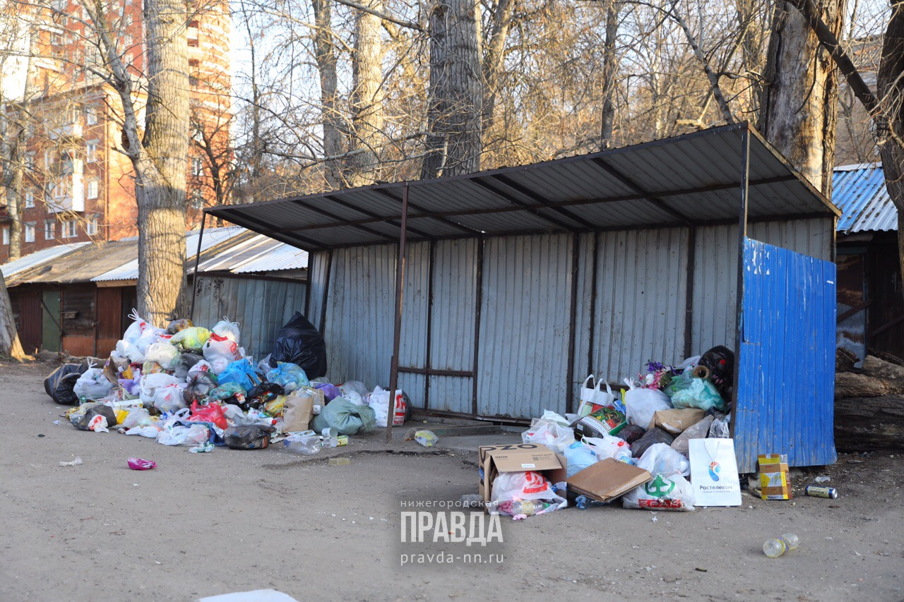 Нижегородцы остались без мусорных контейнеров во дворе дома: разбираемся,  кто в ответе за вывоз отходов | Нижегородская правда