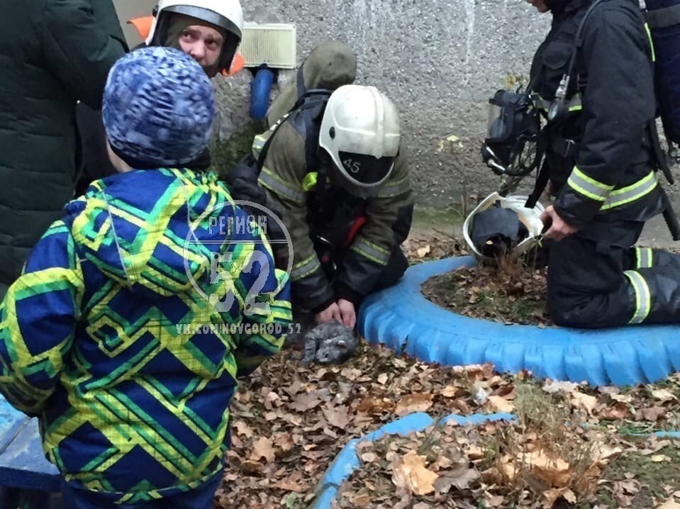 «Я не мог оставить кошку»: нижегородский пожарный рассказал, как пытался спасти из огня животное
