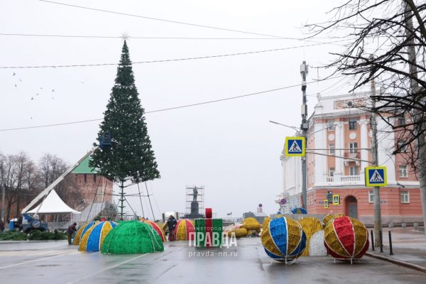 Главную новогоднюю елку установили на площади Минина