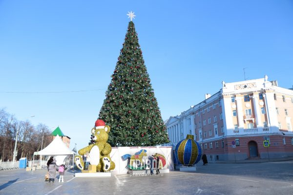Главную новогоднюю ель снова сменят в Нижнем Новгороде