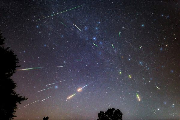 Нижегородцы смогут узнать о звездопадах и кометах на онлайн-беседе планетария