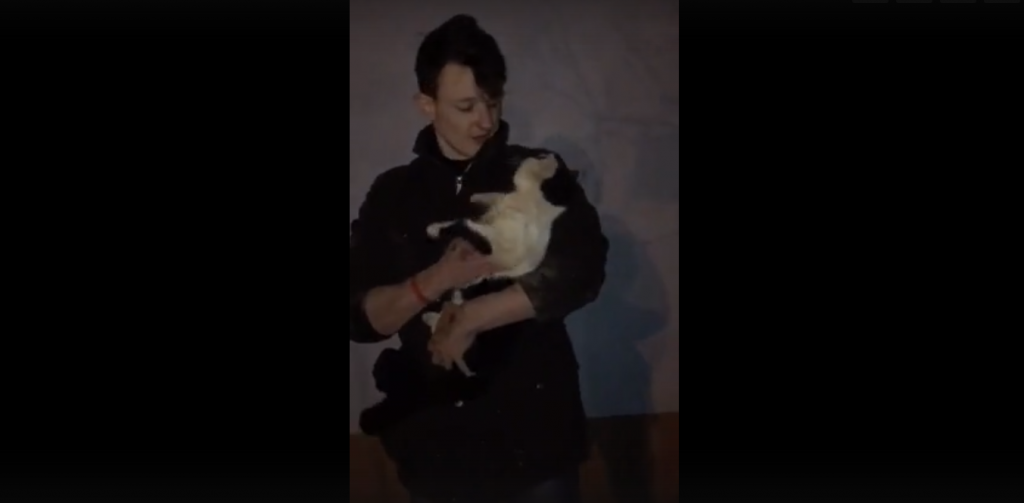 В Нижнем Новгороде спасли замурованного кота (ВИДЕО)