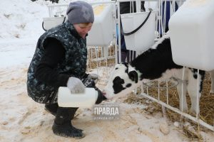 Нижегородские ученые получили патент на изучение стресса у животных