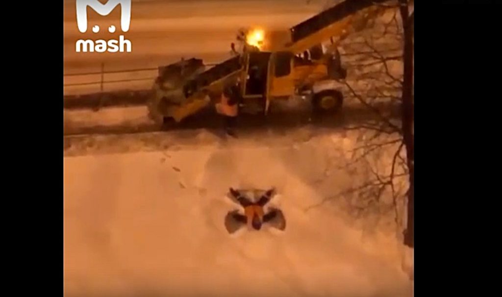 Нижегородский коммунальщик обрадовался снегу и сделал ангелов в сугробе (ВИДЕО)