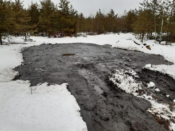 Чёрную лужу технических отходов обнаружили местные жители в лесу Дзержинска рядом с автоцентром