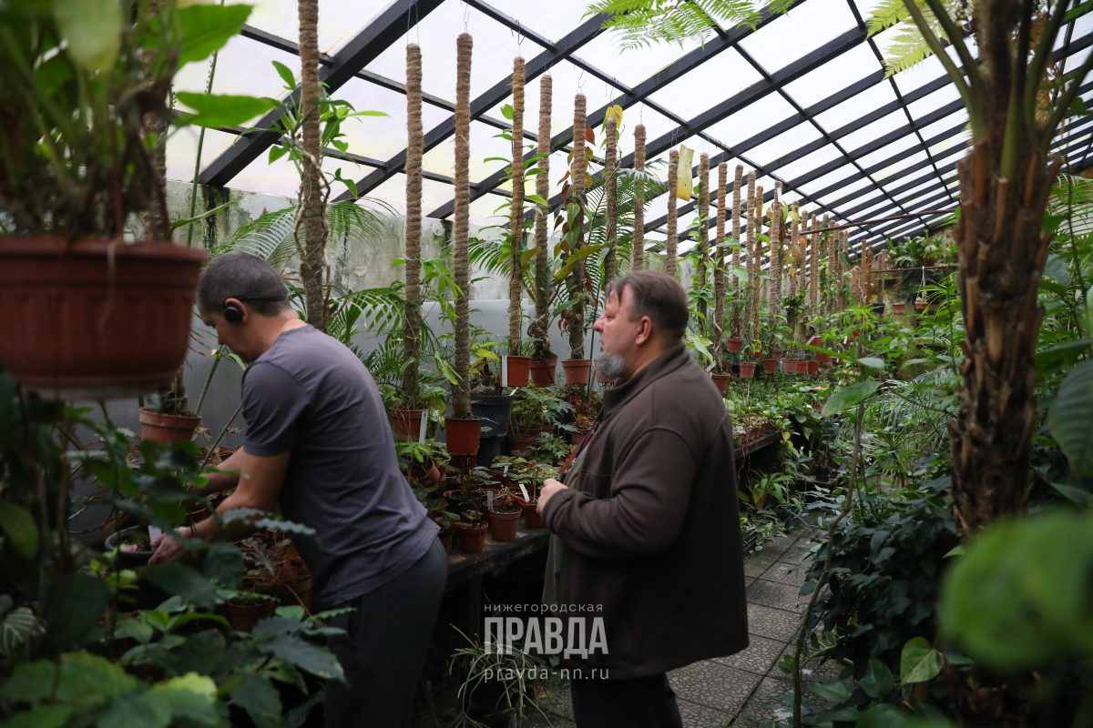 Ботанический сад ННГУ благоустроят для увеличения числа посетителей — Говорит Нижний Новгород