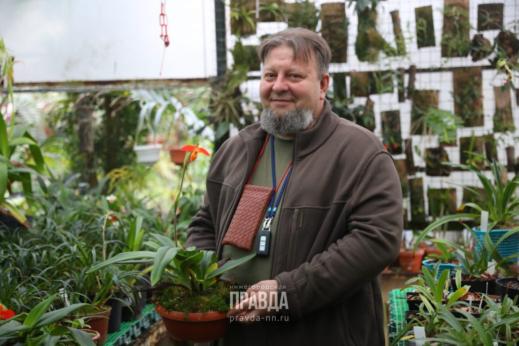 «На 34 гектара сада целая рабочая единица – только я»: один день с директором ботанического сада
