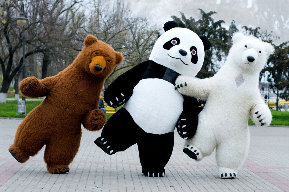 За кражу костюма панды нижегородцу грозит 5 лет лишения свободы