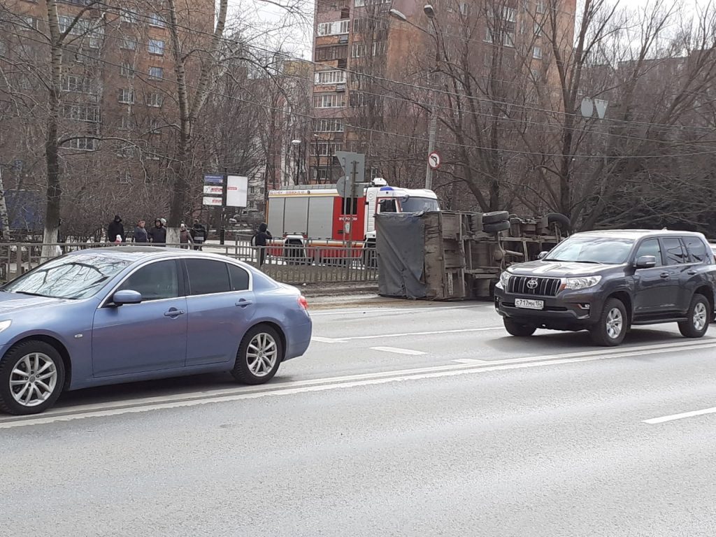 В ДТП на проспекте Гагарина попала корова: стали известны подробности дорожной аварии