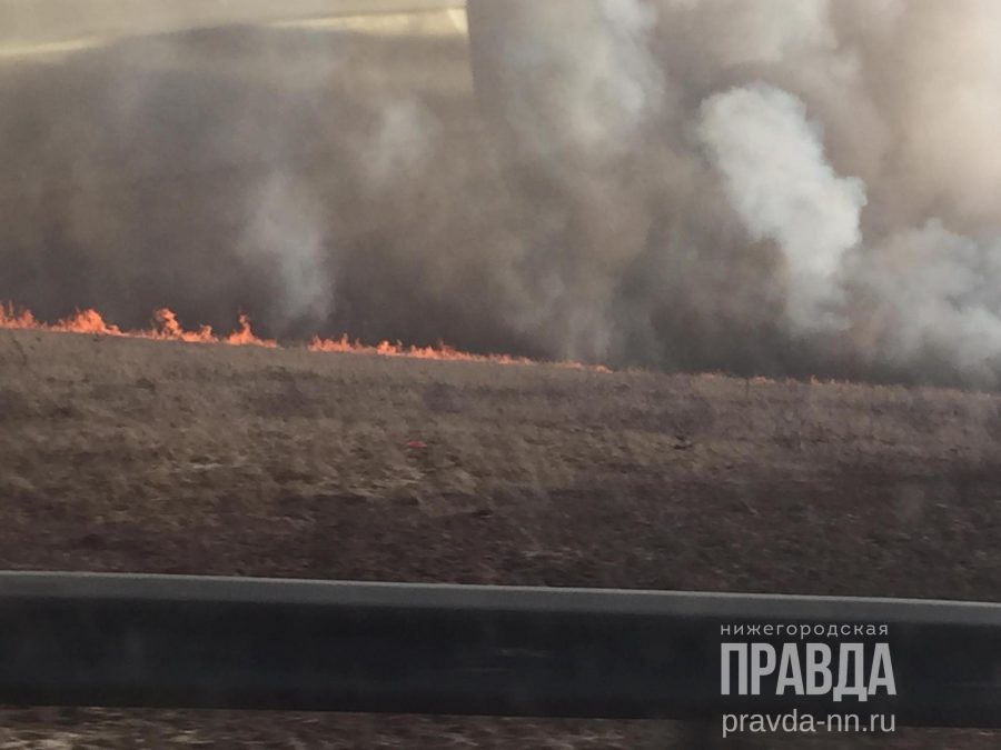 В Богородске горит поле | Нижегородская правда