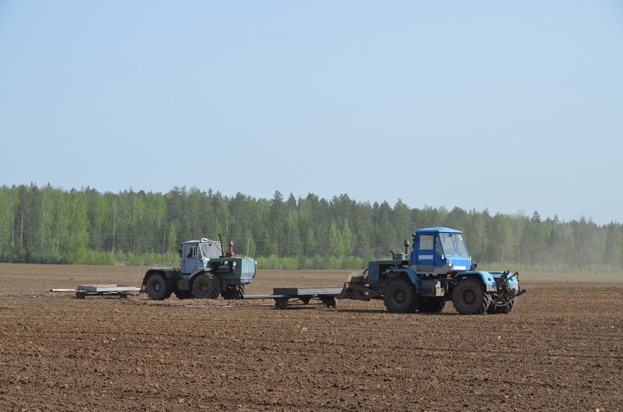 Нижегородские аграрии получат господдержку в 1,2 млрд рублей в преддверии посевной кампании
