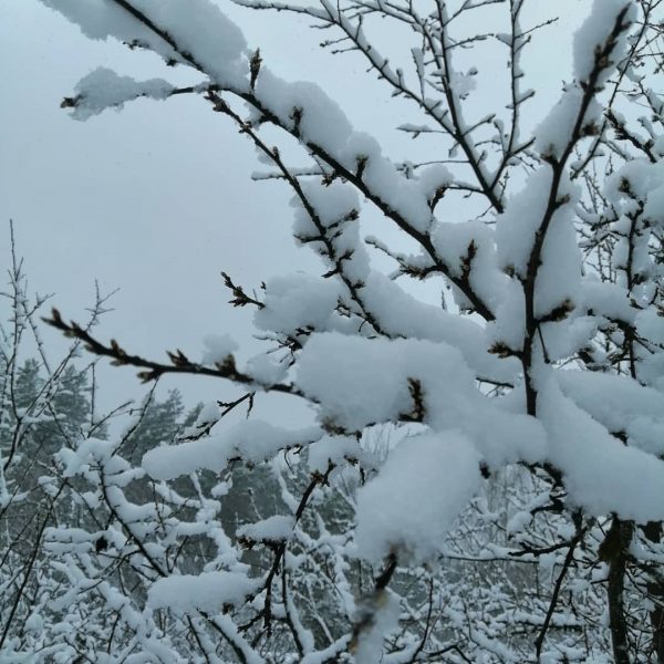 Снег обрушился на Нижегородскую область