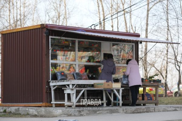 НТО ли еще будет: процедуру согласования для бизнесменов упростят в Нижнем Новгороде