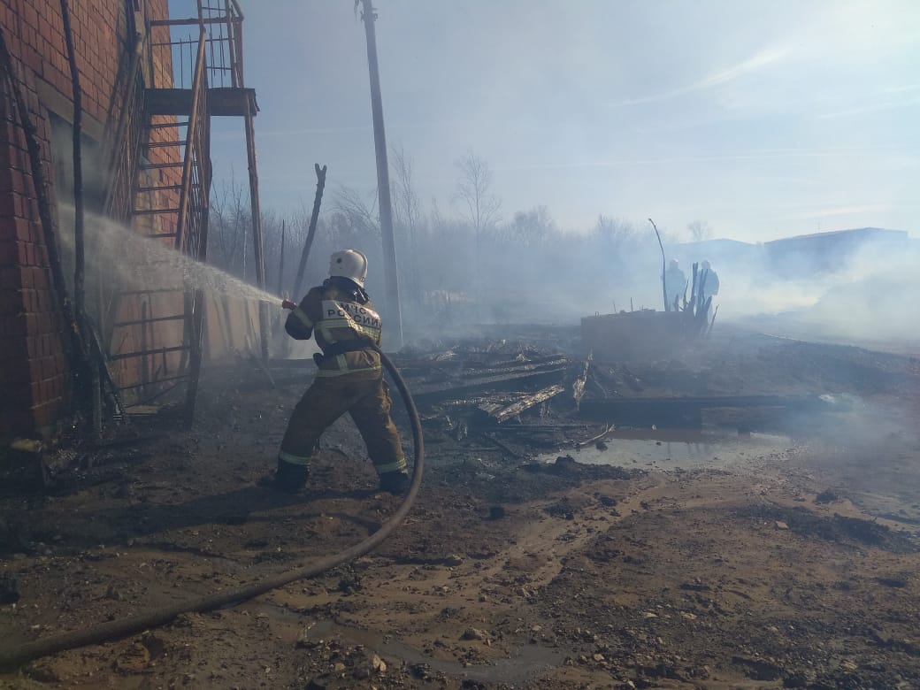 Богородск нижегородская область последние новости