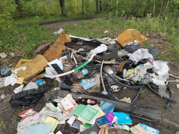 Девять свалок рядом с озером у микрорайона Бурнаковский внесены в план ликвидации