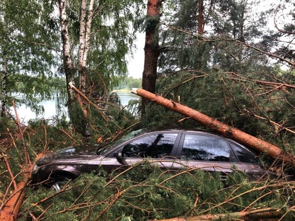 Фото дня: ураган повалил деревья на палатки и машины в Богородском районе