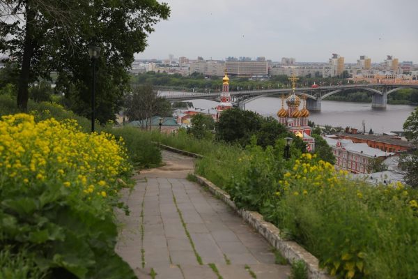 В&nbsp;33 районах Нижегородской области новые случаи заражения COVID-19 не&nbsp;выявлены
