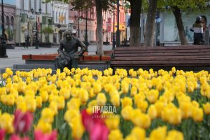 Более 12 млн рублей выделили на цветники в центре Нижнего Новгорода