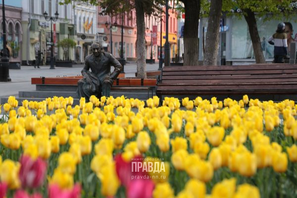 Комфортная солнечная погода ждет нижегородцев в выходные