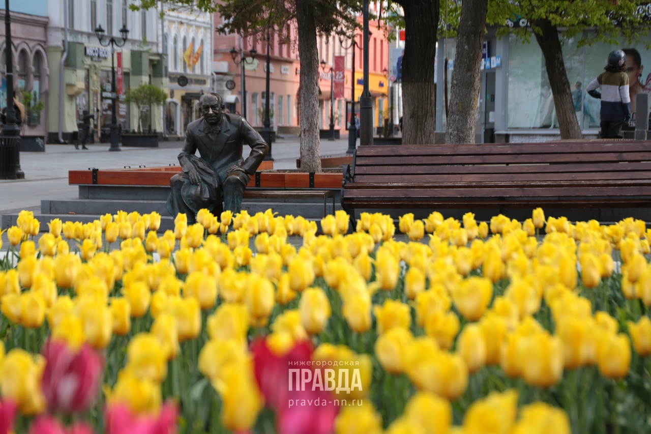 лето большая покровская цветы евстигнеев