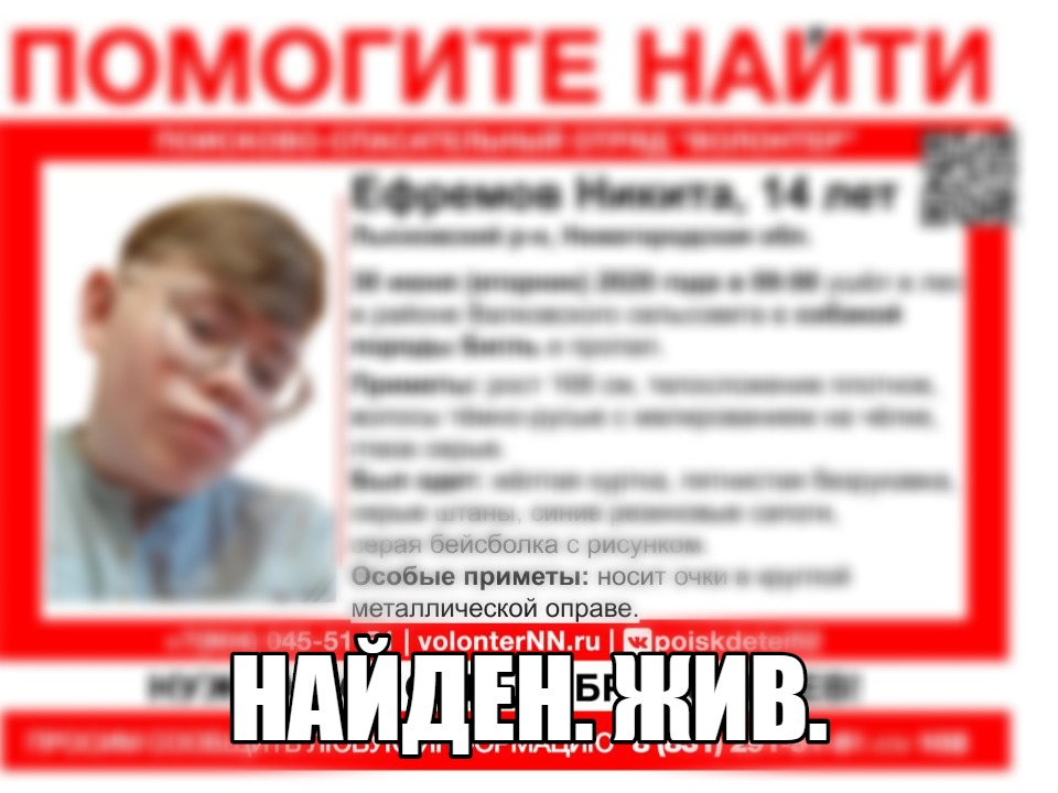 14-летнего Никиту Ефремова, пропавшего в лысковском лесу, нашли живым
