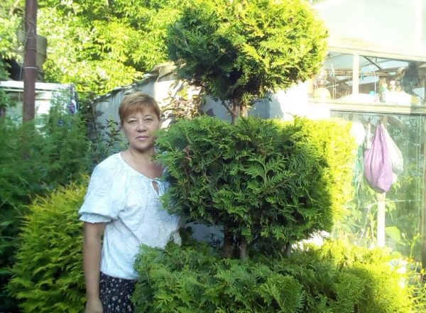 Садовод из Заволжья поделилась секретами выращивания хвойных деревьев