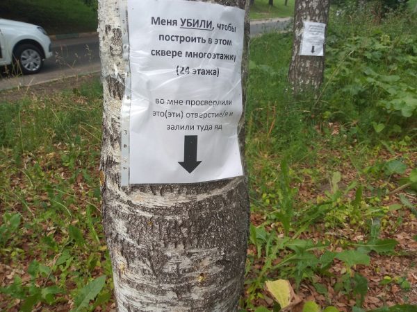 Странные отверстия в деревьях обнаружили нижегородцы в сквере студенческих отрядов на проспекте Гагарина
