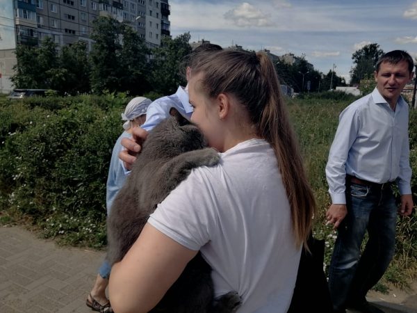 Кота спасли от гибели после взрыва в доме на Краснодонцев