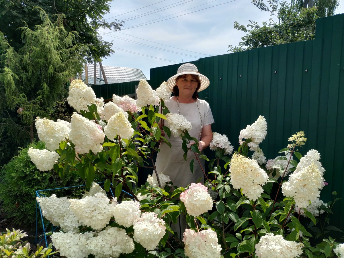 Татьяна Буланова из Дальнего Константинова вырастила на своём участке более 200 видов цветов