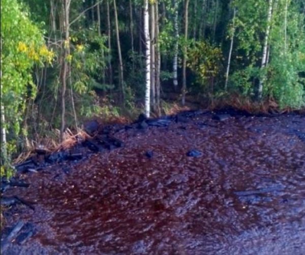 Специалисты минэкологии заинтересовались «мазутным озером» в микрорайоне Бурнаковский