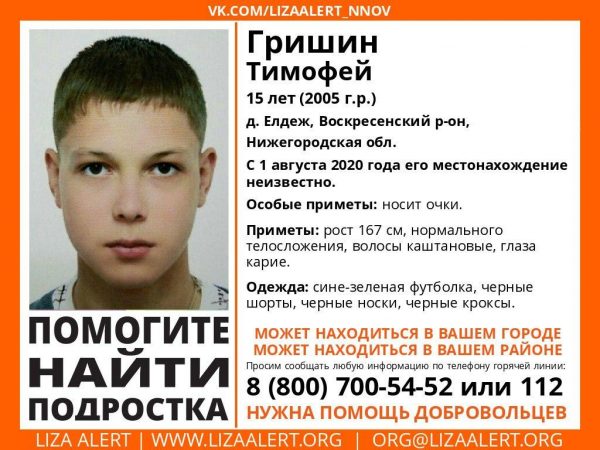 >В Воскресенском районе больше десяти дней ищут пропавшего 15-летнего Тимофея Гришина