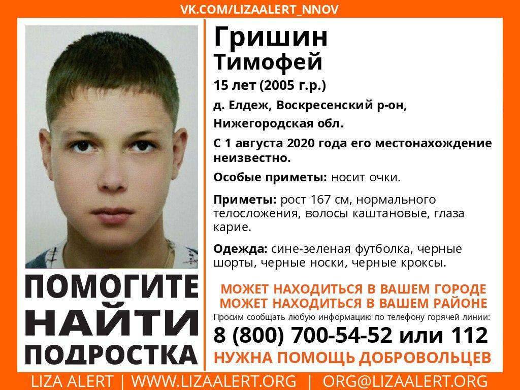 В Воскресенском районе больше десяти дней ищут пропавшего 15-летнего Тимофея Гришина